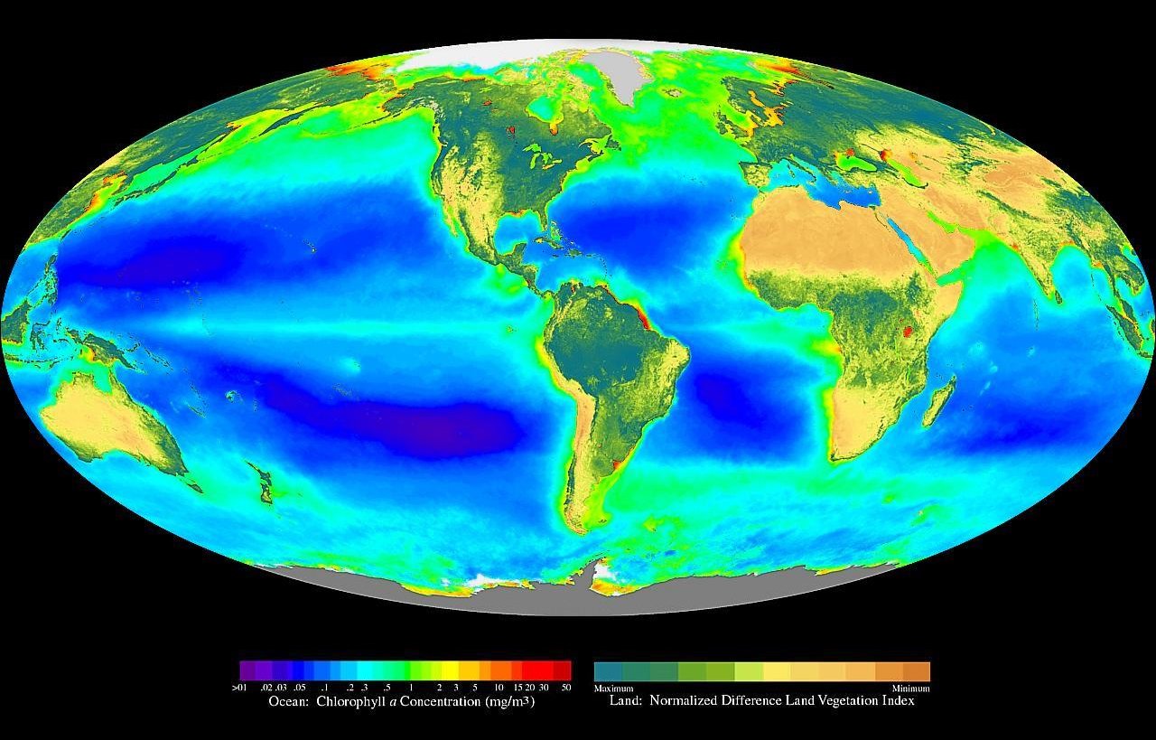 Distribució global de la fotosíntesi (vegetació oceànica i terrestre). Aquesta imatge satel·lital mostra la importància de la fotosíntesi a escala planetària, incloent el fitoplàncton i la vegetació terrestre.