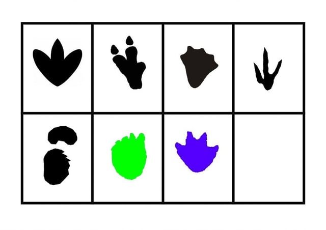 Activitat educativa amb petjades de dinosaure. Els nens poden aprendre com es movien aquests animals.