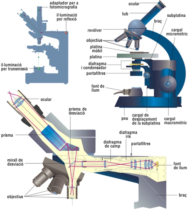 Microscopi òptic d'alta resolució amb parts visibles.