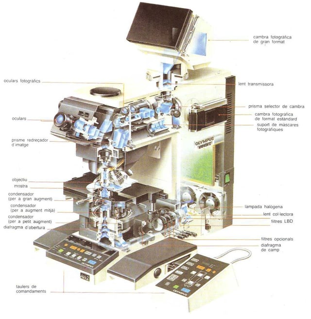 Microscopi òptic binocular que pots veure a l’escola o al laboratori.
