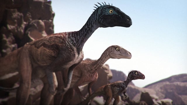 Imatge d’un Eoraptor, un dels dinosaures més antics, per entendre l’origen dels dinosaures.