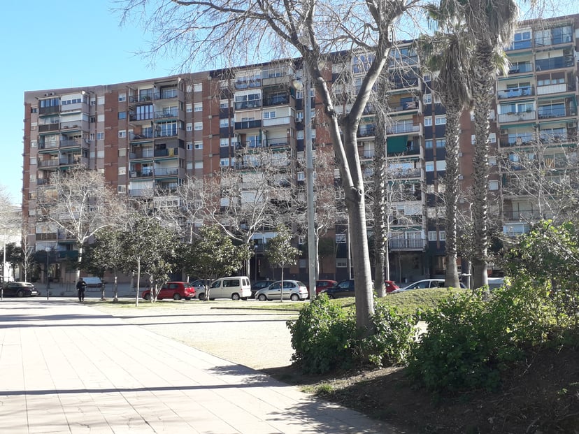 Jardí de la Casa Azul, el museu de Frida Kahlo, amb colors vius i un ambient tranquil.