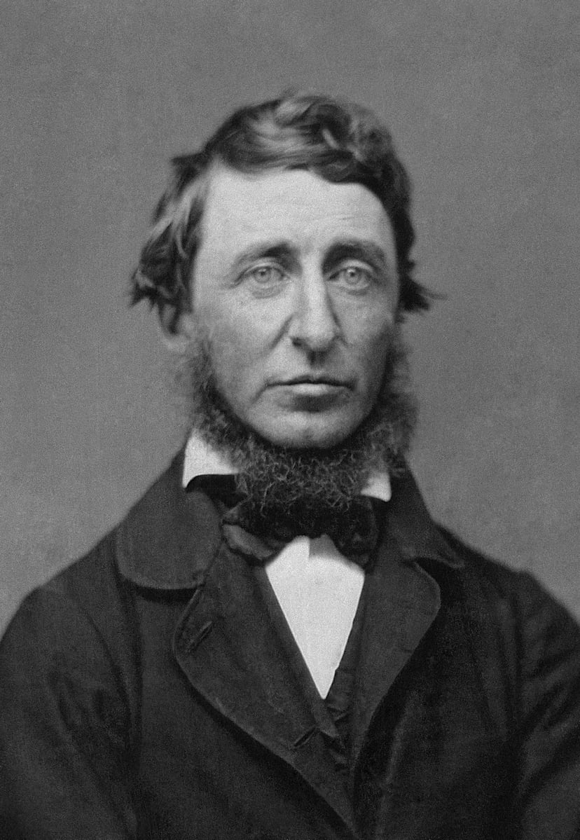 Retrat restaurat en blanc i negre de Henry David Thoreau, autor de "Walden, o la vida als boscos". Imatge clara i nítida, adequada per a nens de 8-10 anys per a una introducció biogràfica.