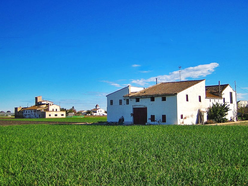 L'Horta de València - Vista panoràmica amb alqueries i masies. Paisatge agrícola tradicional.