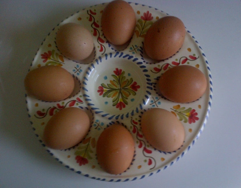 Ous de colors variats en un plat, mostrant la diversitat dels ous de gallina.
