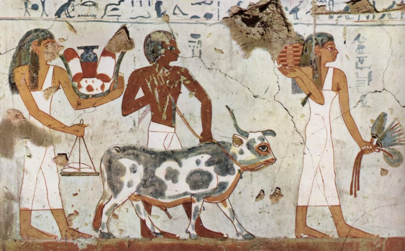 Pintura mural de la cambra funerària d'Amenhotep, que mostra l'art i les històries antigues.