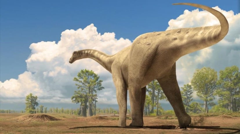 Titanosaure a la Dinosfera, Coll de Nargó. Era molt gran i menjava plantes.